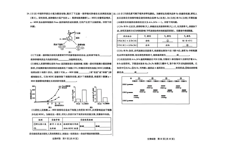 内蒙古包头市2026届高三上学期期中教学质量检测生物试卷（含答案）_2025年10月_12026年试卷教辅资源等多个文件_251024内蒙古包头市2026届高三上学期期中教学质量检测（全科）