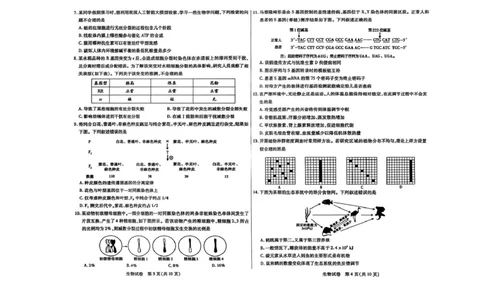内蒙古包头市2026届高三上学期期中教学质量检测生物试卷（含答案）_2025年10月_12026年试卷教辅资源等多个文件_251024内蒙古包头市2026届高三上学期期中教学质量检测（全科）
