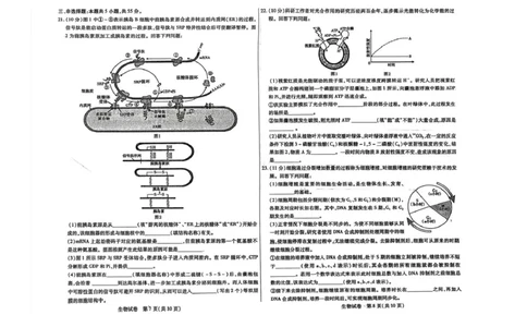 内蒙古包头市2026届高三上学期期中教学质量检测生物试卷（含答案）_2025年10月_12026年试卷教辅资源等多个文件_251024内蒙古包头市2026届高三上学期期中教学质量检测（全科）