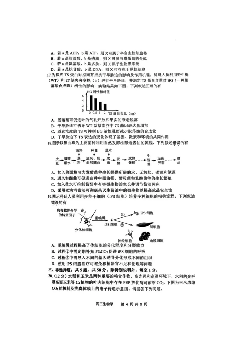 2025届江苏省苏锡常镇四市高三下学期教学情况调（一）（一模）生物_2025年3月_2503202025届江苏省苏锡常镇四市高三下学期教学情况调（一）（一模）（全科）
