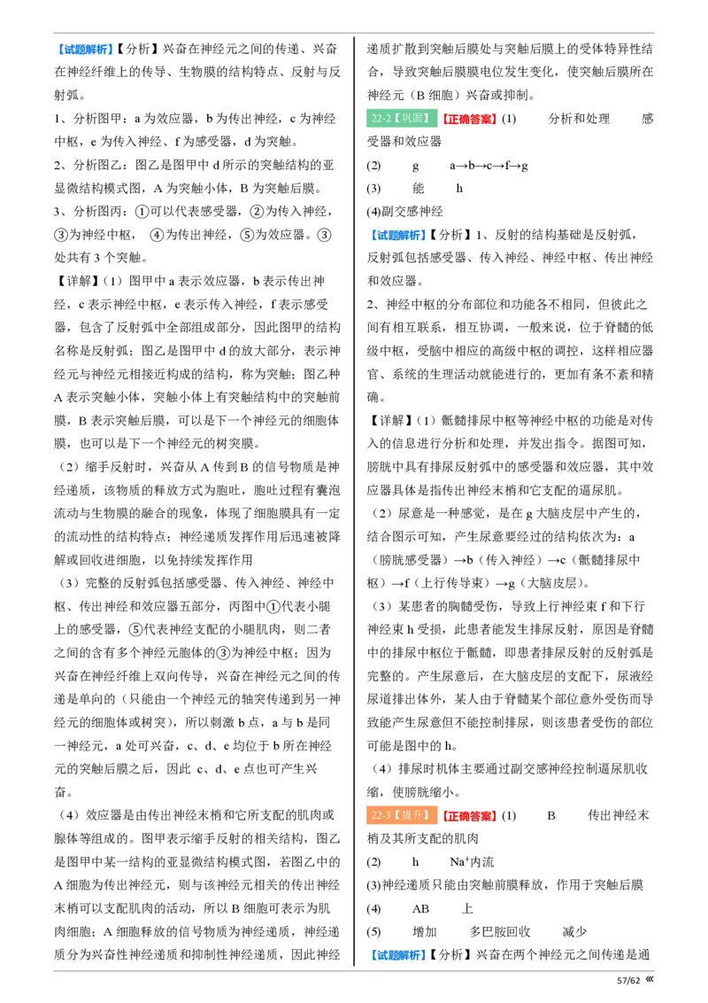 点石联考2025年10月高二生物巩固卷-答案(1)_1多考区联考_251025点石联考2025年10月高二巩固卷（全）