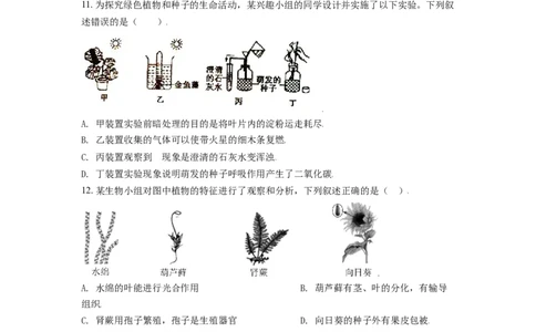 精品解析：山东省东营市2021年中考生物试题（原卷版）_中考真题_8.生物中考真题2015-2024年_地区卷_山东省_东营中考生物09-22