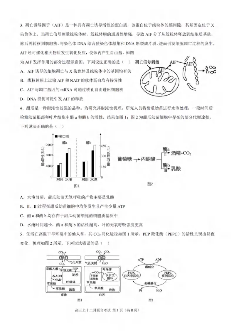重庆市拔尖强基联盟育才中学校、万州高级中学、西南大学附属中学校2024届高三上学期12月联考生物