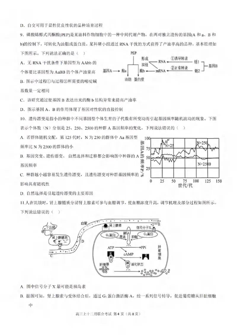 重庆市拔尖强基联盟育才中学校、万州高级中学、西南大学附属中学校2024届高三上学期12月联考生物