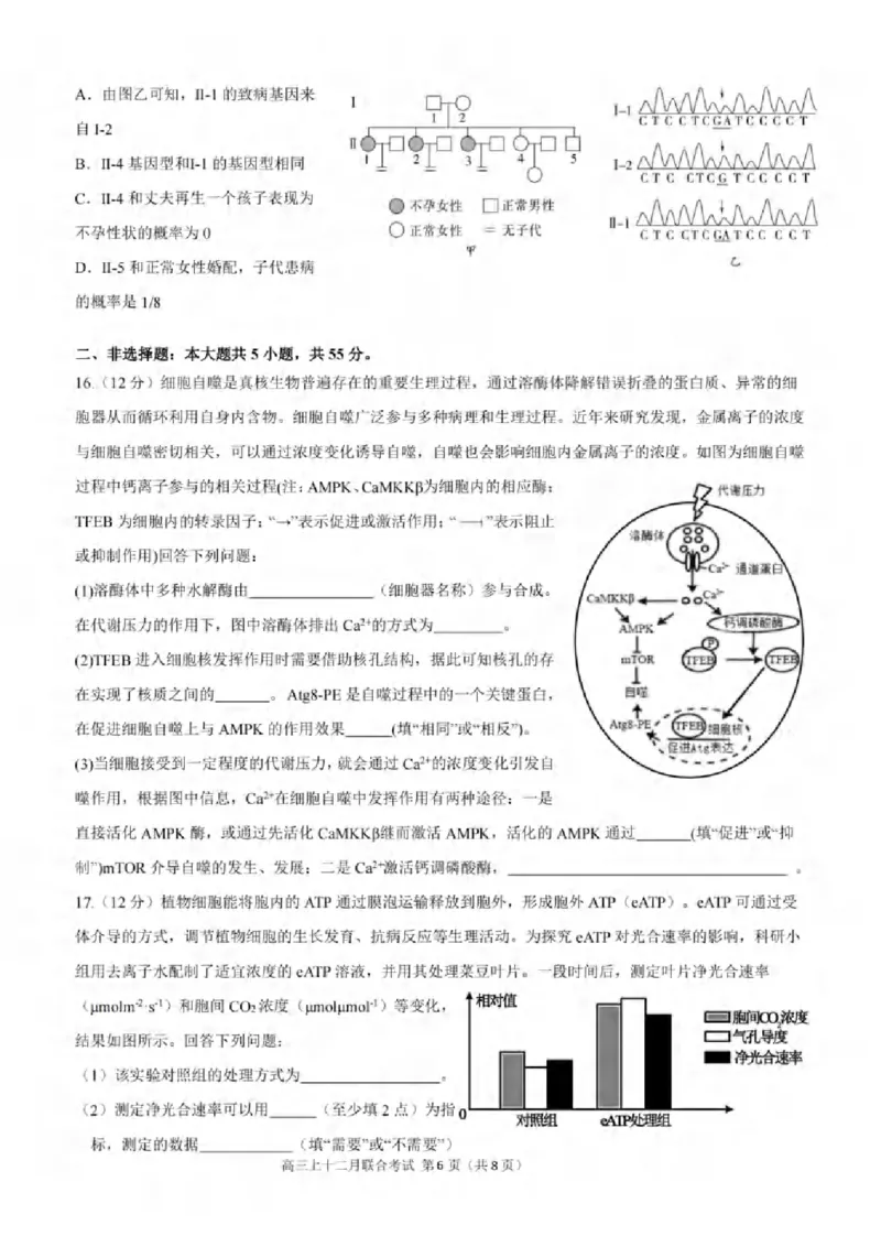 重庆市拔尖强基联盟育才中学校、万州高级中学、西南大学附属中学校2024届高三上学期12月联考生物