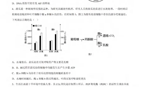 重庆市拔尖强基联盟育才中学校、万州高级中学、西南大学附属中学校2024届高三上学期12月联考生物