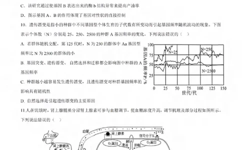 重庆市拔尖强基联盟育才中学校、万州高级中学、西南大学附属中学校2024届高三上学期12月联考生物