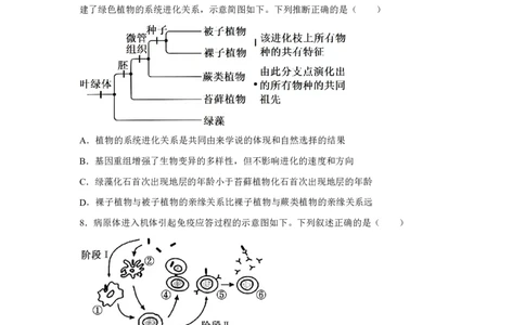 河南2025年高考河南卷生物高考真题文档版_1.高考2025全国各省真题+答案_9.高考生物真题答案更新中