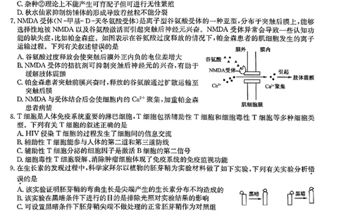 高三生物_2024届河北省唐县第一中学高三上学期1月期末考试_河北省唐县第一中学2024届高三上学期1月期末考试生物