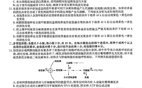 高三生物_2024届河北省唐县第一中学高三上学期1月期末考试_河北省唐县第一中学2024届高三上学期1月期末考试生物