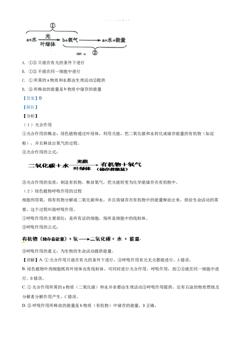 精品解析：山东省东营市2020年中考生物试题（解析版）_中考真题_8.生物中考真题2015-2024年_2020生物真题74份_2020年中考真题精品解析生物（山东东营卷）精编word版
