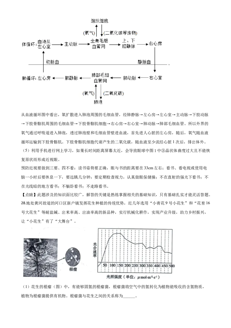 精品解析：山东省东营市2020年中考生物试题（解析版）_中考真题_8.生物中考真题2015-2024年_2020生物真题74份_2020年中考真题精品解析生物（山东东营卷）精编word版