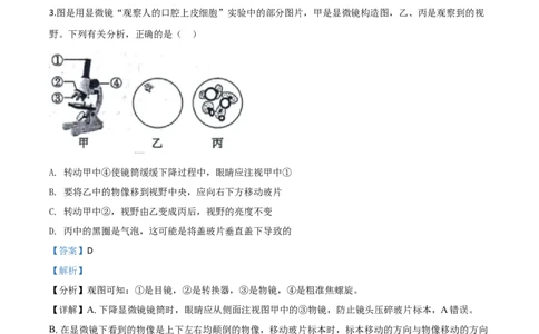 精品解析：山东省东营市2020年中考生物试题（解析版）_中考真题_8.生物中考真题2015-2024年_2020生物真题74份_2020年中考真题精品解析生物（山东东营卷）精编word版