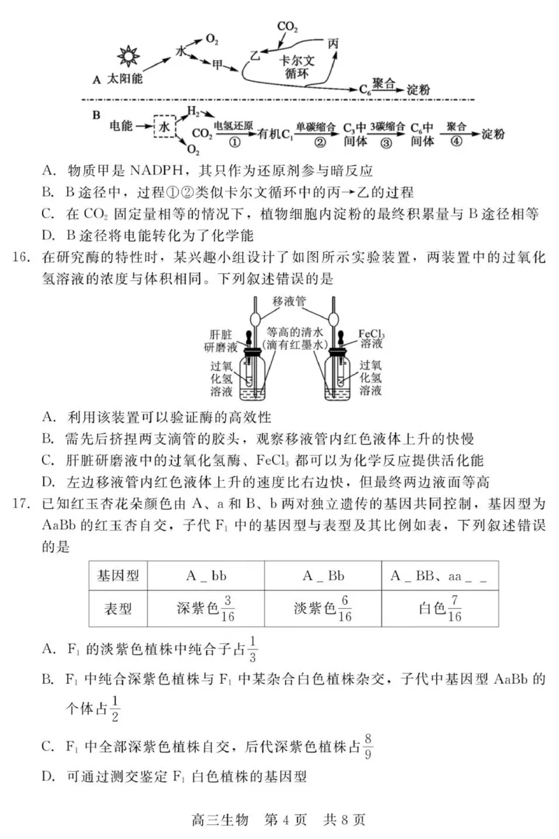 202511高三期中（生物）_2025年11月_251120河北省秦皇岛市承德联考2025-2026学年高三上学期11月期中（全科）_NT生物试题(扫描版，有解析)