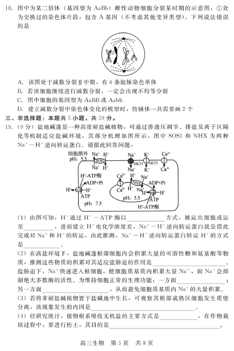 202511高三期中（生物）_2025年11月_251120河北省秦皇岛市承德联考2025-2026学年高三上学期11月期中（全科）_NT生物试题(扫描版，有解析)