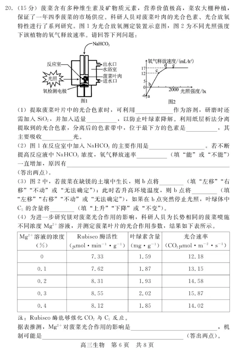 202511高三期中（生物）_2025年11月_251120河北省秦皇岛市承德联考2025-2026学年高三上学期11月期中（全科）_NT生物试题(扫描版，有解析)