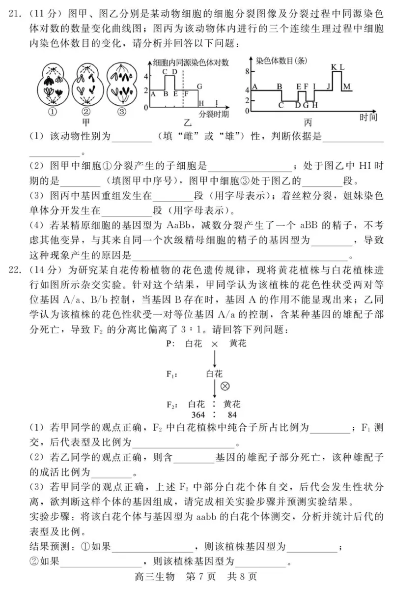 202511高三期中（生物）_2025年11月_251120河北省秦皇岛市承德联考2025-2026学年高三上学期11月期中（全科）_NT生物试题(扫描版，有解析)