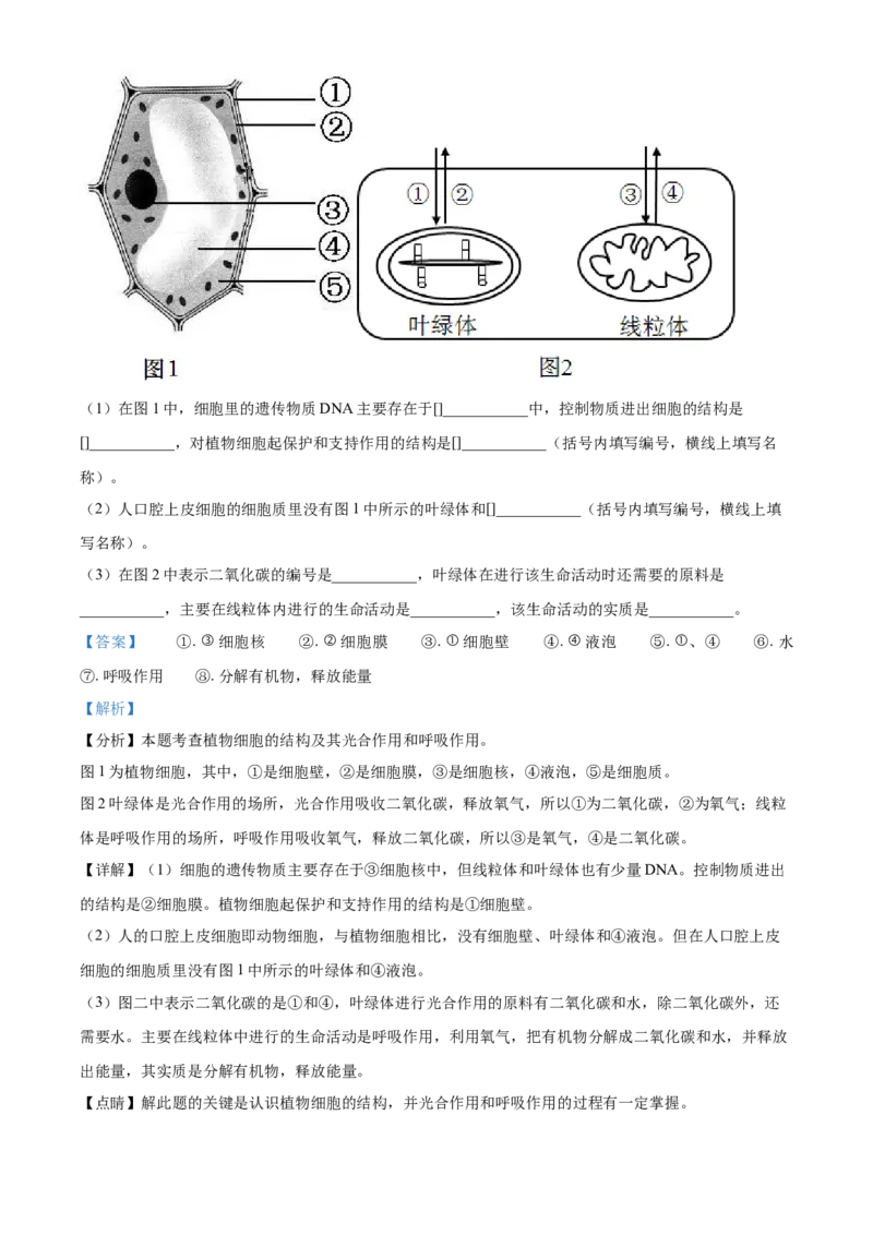 精品解析：湖北省黄石市2021年中考生物试题（解析版）_中考真题_8.生物中考真题2015-2024年_2021中考生物真题64份_2021湖北_精品解析：湖北省黄石市2021年中考生物试题