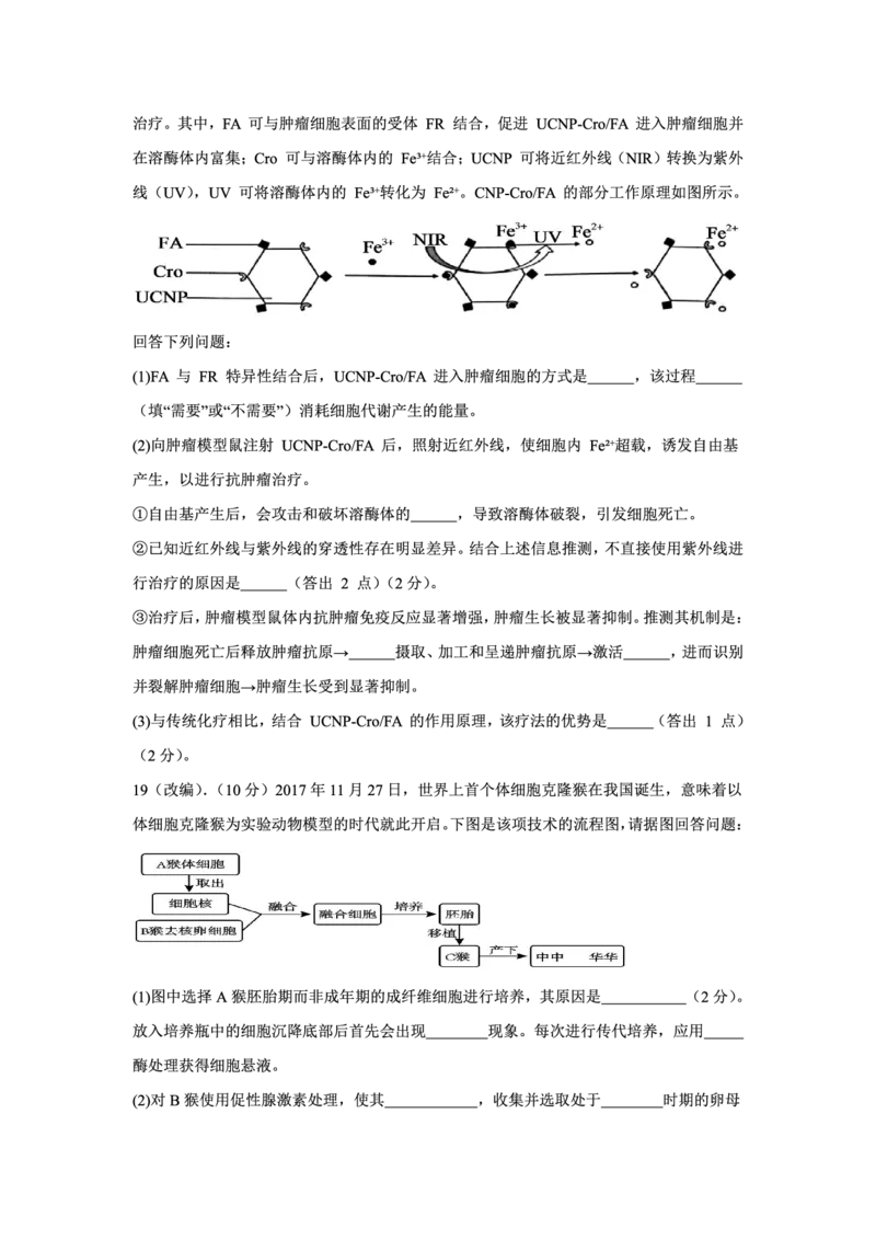 2025-2026学年上期五校十月联考生物_2025年10月_12026年试卷教辅资源等多个文件_251021重庆市2025-2026学年高三上期五校十月联考（全科）