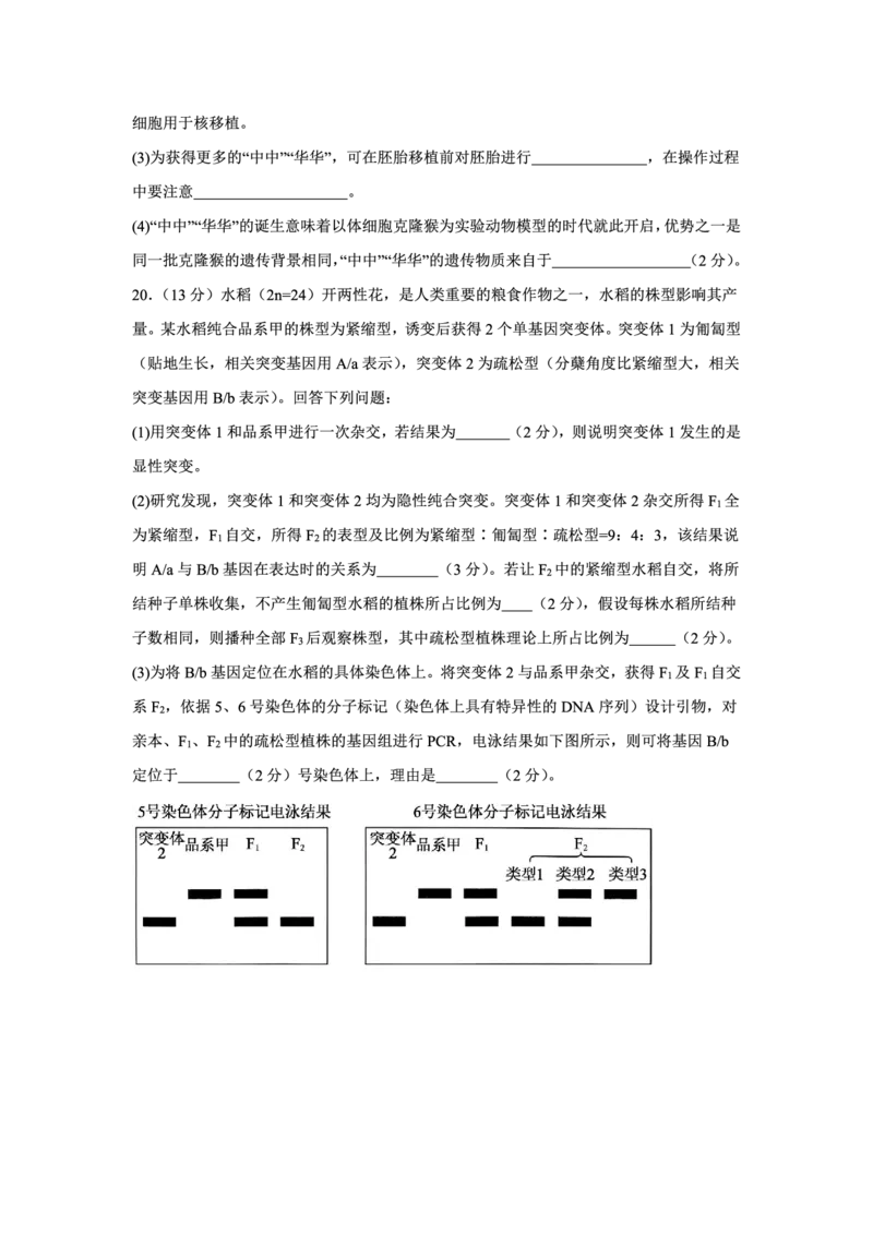 2025-2026学年上期五校十月联考生物_2025年10月_12026年试卷教辅资源等多个文件_251021重庆市2025-2026学年高三上期五校十月联考（全科）