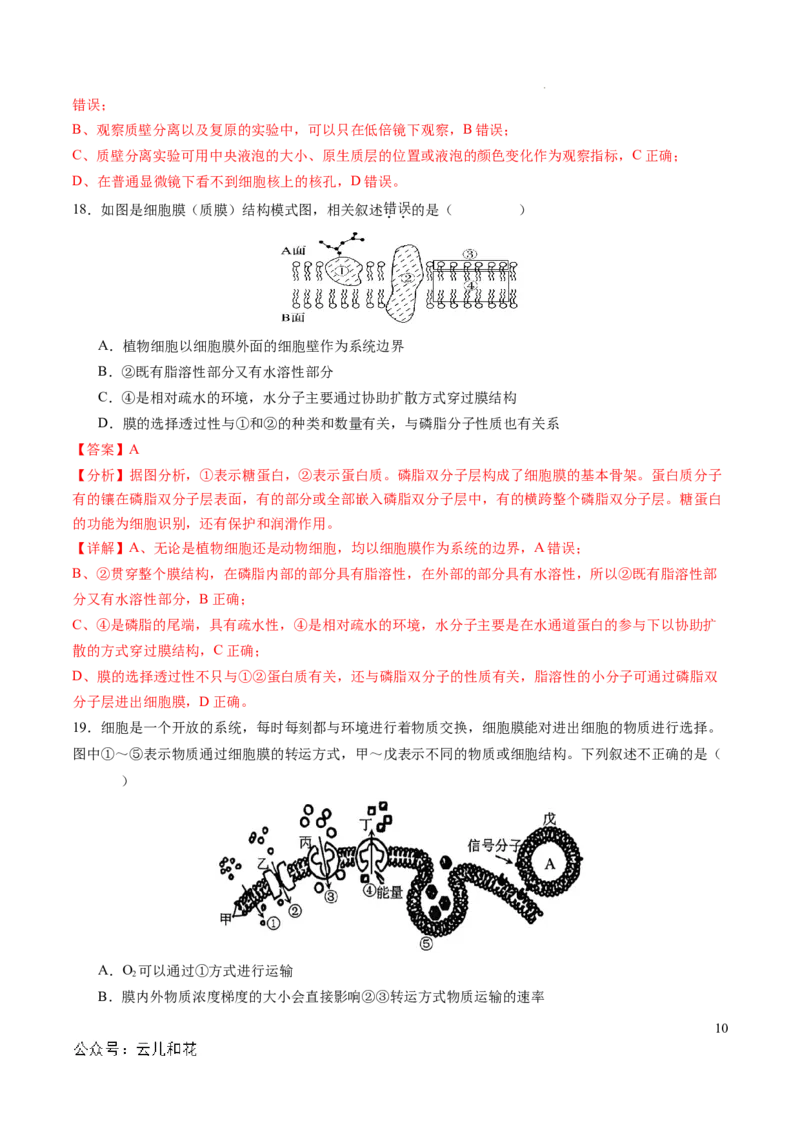 高一生物期中模拟卷01（全解全析）（新高考通用）_1多考区联考试卷_1014高一期中模拟卷（新高考通用）黄金卷：2024-2025学年高一上学期期中模拟考试
