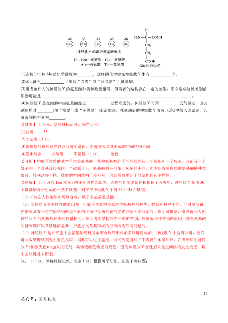 高一生物期中模拟卷01（全解全析）（新高考通用）_1多考区联考试卷_1014高一期中模拟卷（新高考通用）黄金卷：2024-2025学年高一上学期期中模拟考试