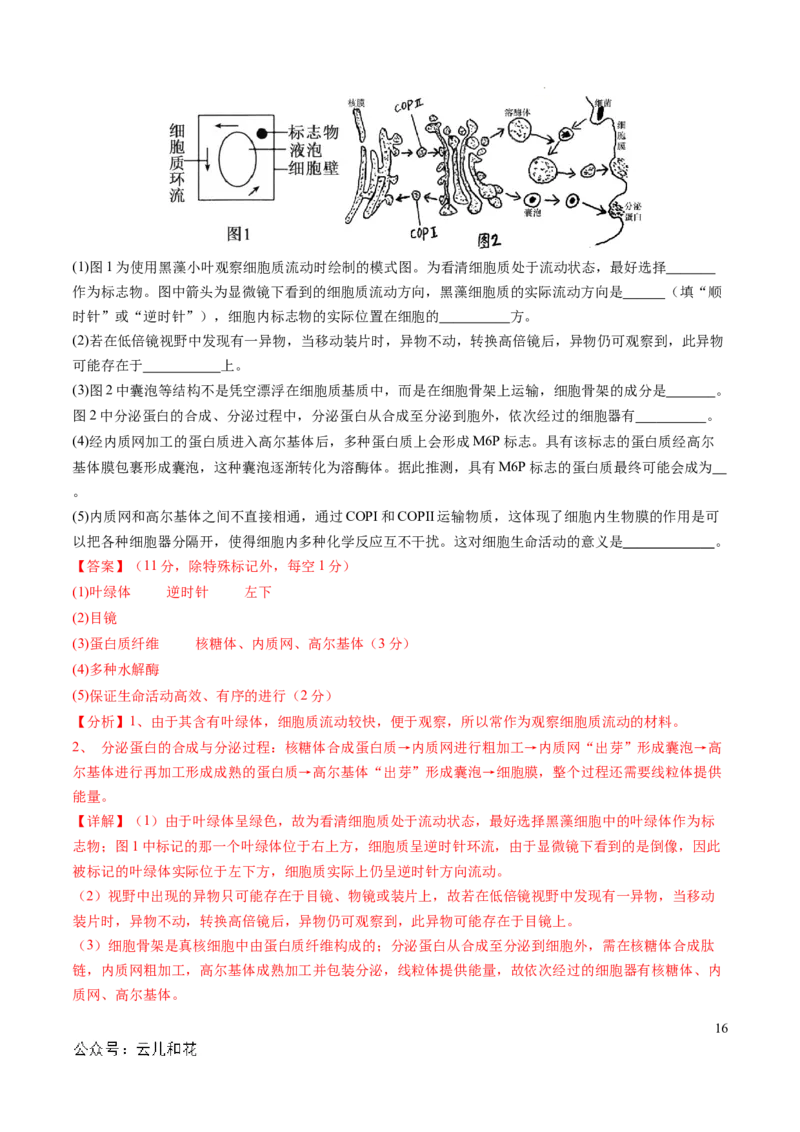 高一生物期中模拟卷01（全解全析）（新高考通用）_1多考区联考试卷_1014高一期中模拟卷（新高考通用）黄金卷：2024-2025学年高一上学期期中模拟考试