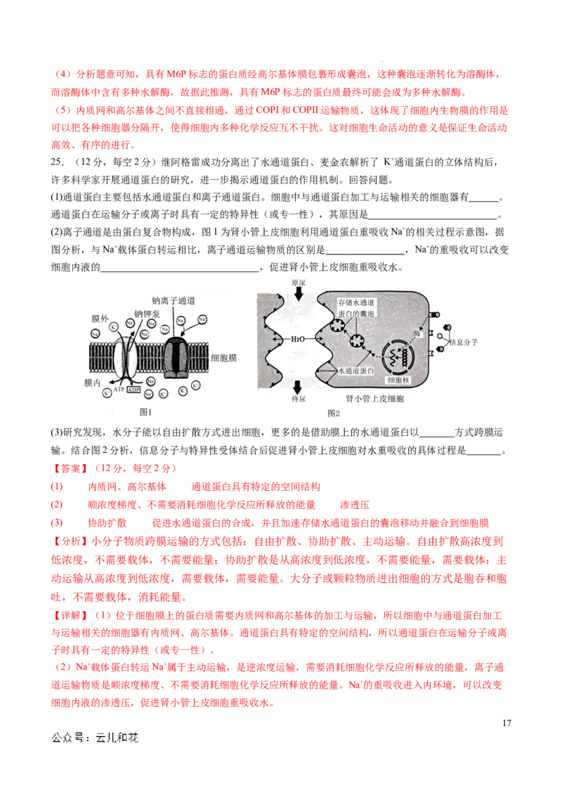 高一生物期中模拟卷01（全解全析）（新高考通用）_1多考区联考试卷_1014高一期中模拟卷（新高考通用）黄金卷：2024-2025学年高一上学期期中模拟考试