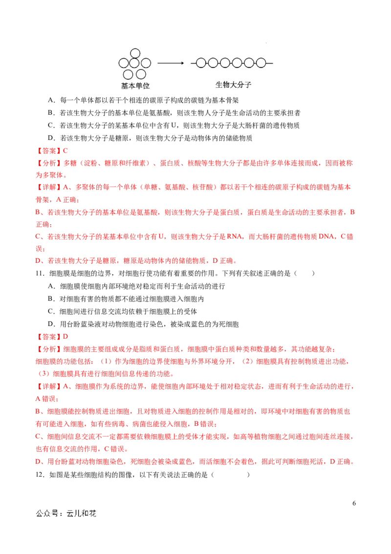高一生物期中模拟卷01（全解全析）（新高考通用）_1多考区联考试卷_1014高一期中模拟卷（新高考通用）黄金卷：2024-2025学年高一上学期期中模拟考试