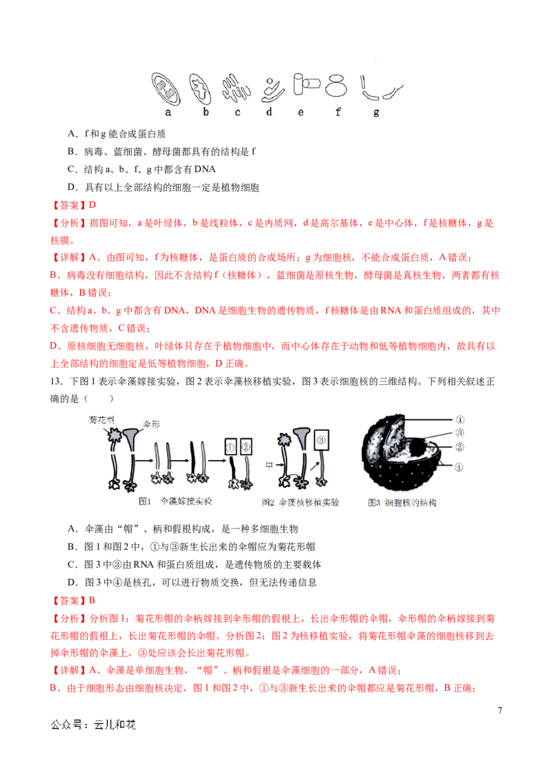 高一生物期中模拟卷01（全解全析）（新高考通用）_1多考区联考试卷_1014高一期中模拟卷（新高考通用）黄金卷：2024-2025学年高一上学期期中模拟考试