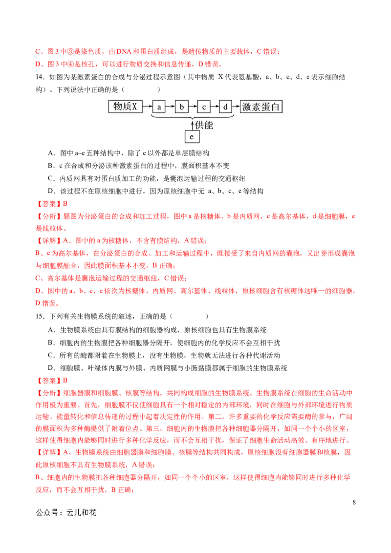 高一生物期中模拟卷01（全解全析）（新高考通用）_1多考区联考试卷_1014高一期中模拟卷（新高考通用）黄金卷：2024-2025学年高一上学期期中模拟考试