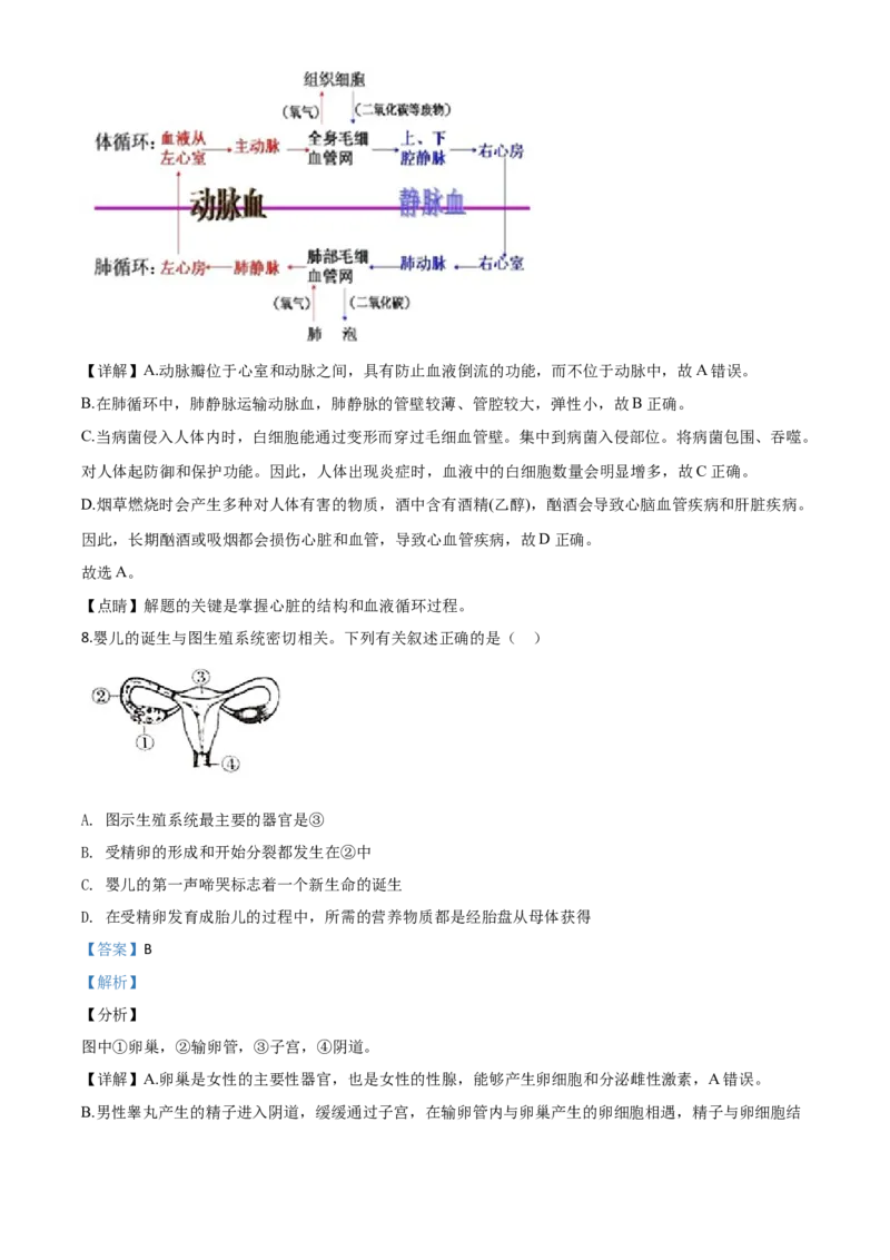 精品解析：四川省内江市2020年中考生物试题（解析版）_中考真题_8.生物中考真题2015-2024年_2020生物真题74份_2020年中考真题精品解析生物（四川内江卷）精编word版