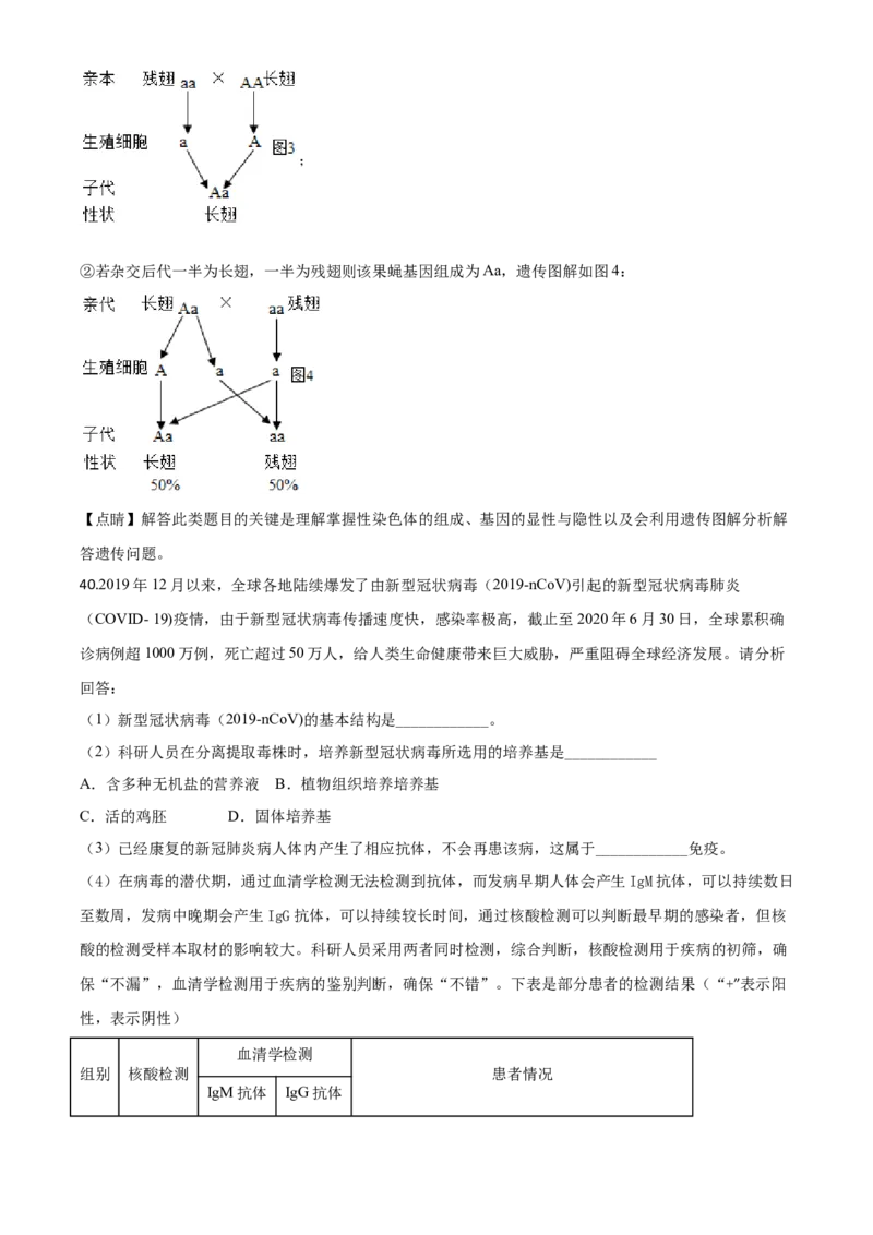 精品解析：湖南省湘潭市2020年中考生物试题（解析版）_中考真题_8.生物中考真题2015-2024年_2020生物真题74份_2020年中考真题精品解析生物（湖南湘潭卷）精编word版