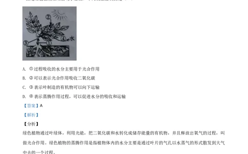 精品解析：湖南省湘潭市2020年中考生物试题（解析版）_中考真题_8.生物中考真题2015-2024年_2020生物真题74份_2020年中考真题精品解析生物（湖南湘潭卷）精编word版