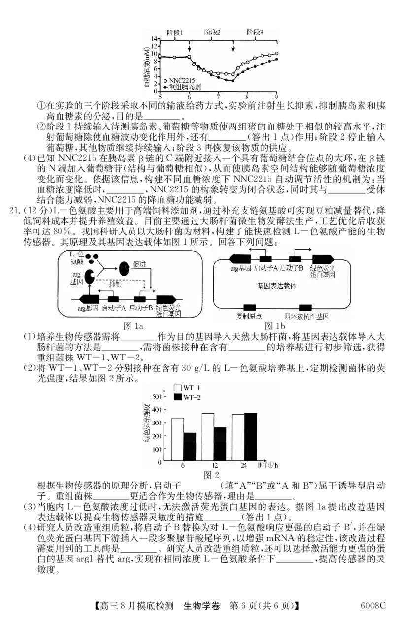 6008C生物学_2025年8月_250831纵千文化广东省2026届高三年级8月28-29日摸底检测6008C（全科）_生物