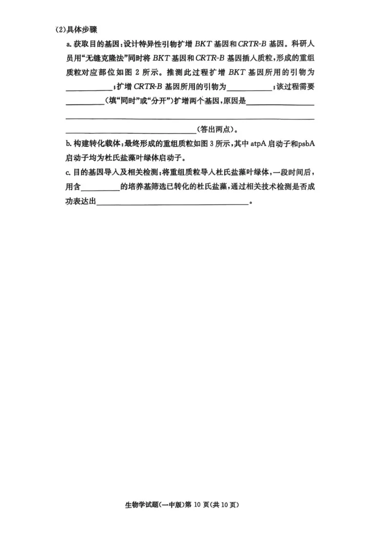 一中月考二_2025年10月_251007湖南省长沙市第一中学2025-2026学年高三上学期月考（二）_湖南省长沙市第一中学2025-2026学年高三上学期月考（二）生物试题（扫描版，有解析）