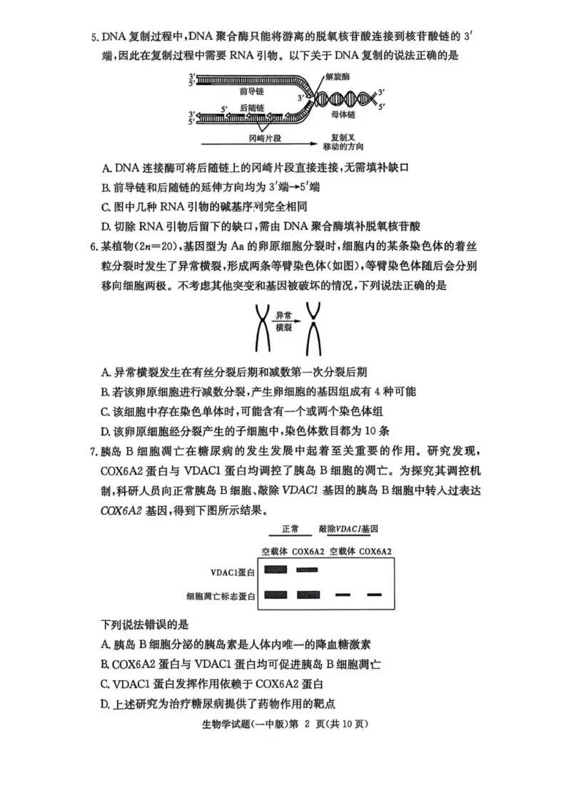 一中月考二_2025年10月_251007湖南省长沙市第一中学2025-2026学年高三上学期月考（二）_湖南省长沙市第一中学2025-2026学年高三上学期月考（二）生物试题（扫描版，有解析）