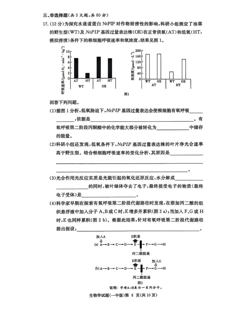 一中月考二_2025年10月_251007湖南省长沙市第一中学2025-2026学年高三上学期月考（二）_湖南省长沙市第一中学2025-2026学年高三上学期月考（二）生物试题（扫描版，有解析）