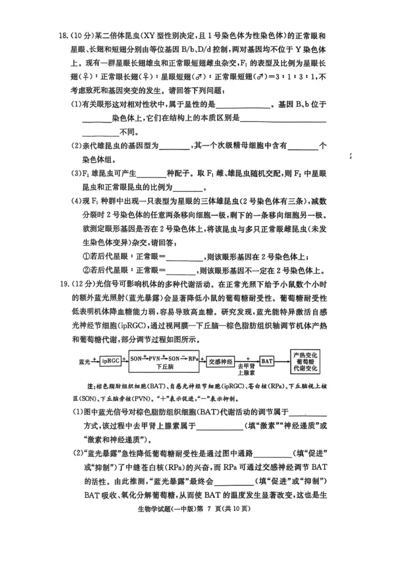 一中月考二_2025年10月_251007湖南省长沙市第一中学2025-2026学年高三上学期月考（二）_湖南省长沙市第一中学2025-2026学年高三上学期月考（二）生物试题（扫描版，有解析）