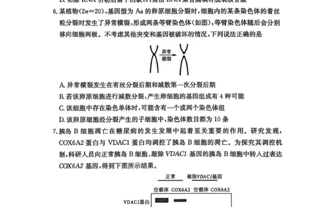 一中月考二_2025年10月_251007湖南省长沙市第一中学2025-2026学年高三上学期月考（二）_湖南省长沙市第一中学2025-2026学年高三上学期月考（二）生物试题（扫描版，有解析）