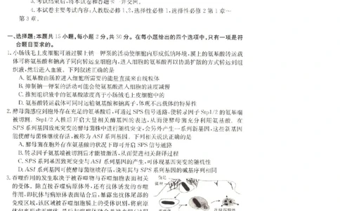 辽宁省抚顺市六校协作体2023-2024学年高三上学期期末考试生物试题_2024届金太阳高三1月大联考(辽宁、河北、云南)_河北辽宁高2024届高三1月金太阳大联考生物