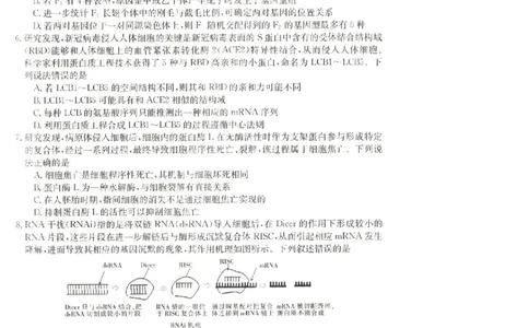 辽宁省抚顺市六校协作体2023-2024学年高三上学期期末考试生物试题_2024届金太阳高三1月大联考(辽宁、河北、云南)_河北辽宁高2024届高三1月金太阳大联考生物