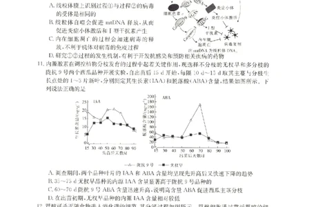 辽宁省抚顺市六校协作体2023-2024学年高三上学期期末考试生物试题_2024届金太阳高三1月大联考(辽宁、河北、云南)_河北辽宁高2024届高三1月金太阳大联考生物