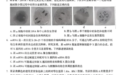 云南省曲靖市2024-2025学年高三年级第二次教学质量监测生物_2025年4月_250427云南省曲靖市2024-2025学年高三年级第二次教学质量监测（全科）