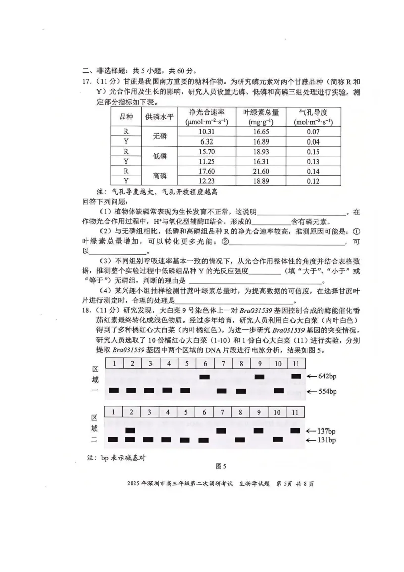 9生物试卷_2025年4月_250426广东省2025年深圳市高三年级第二次调研考试（深圳二模）（全科）_2025年深圳市高三年级第二次调研考试生物