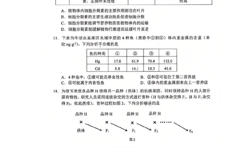 9生物试卷_2025年4月_250426广东省2025年深圳市高三年级第二次调研考试（深圳二模）（全科）_2025年深圳市高三年级第二次调研考试生物