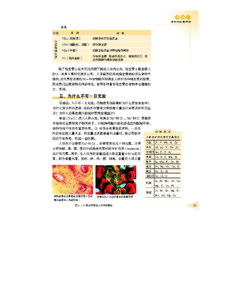 鲁科版高中化学选修1-化学与生活2003课标版_4-教培资料-26年最新资料-同步更新_初中高中教资_03科三专项（进去保存报考的学科即可）_112025高中科目（全）电子教材