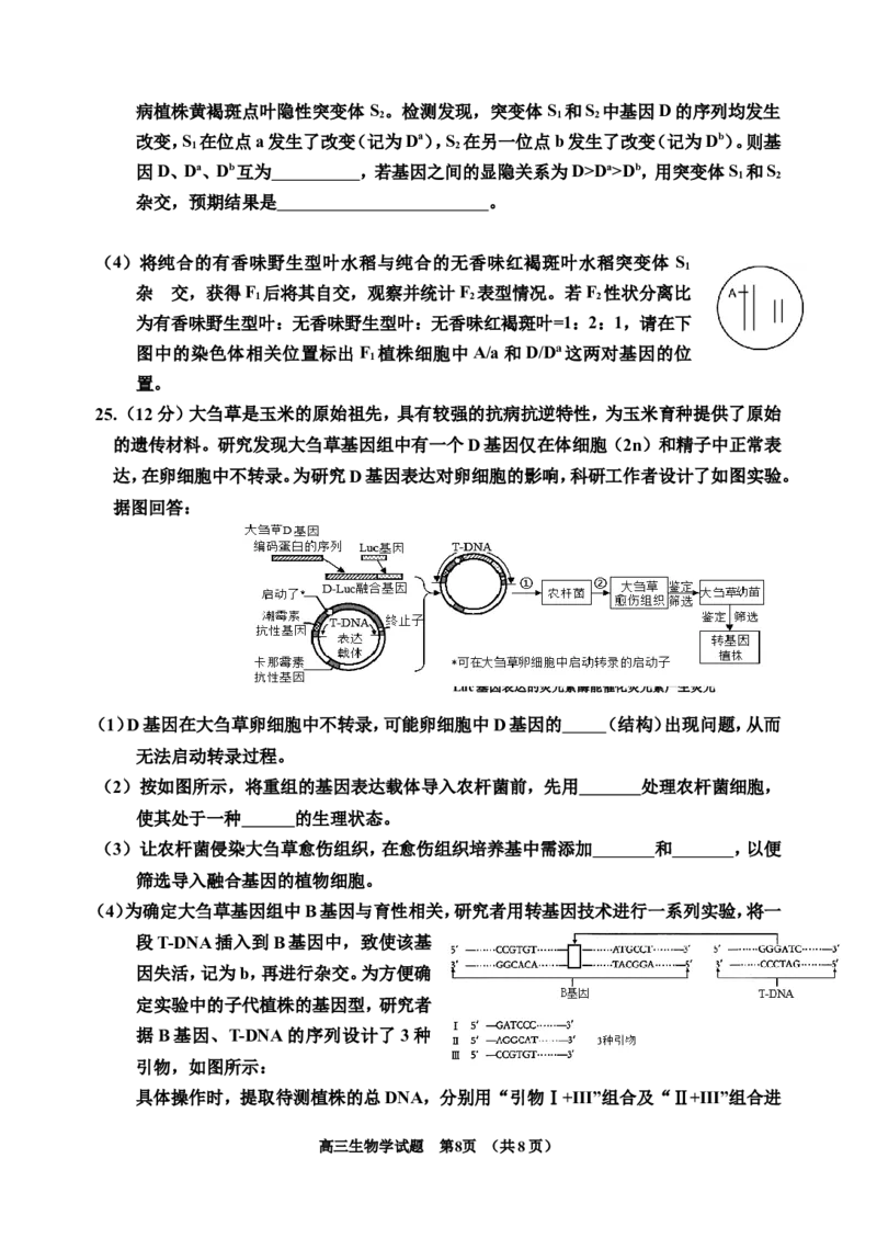 25-6版吉林地区普通中学2024(1)_2025年3月_250331吉林省吉林市2024-2025学年高三下学期3月三模（全科）_吉林省吉林市2024-2025学年高三下学期3月三模试题生物Word版含答案