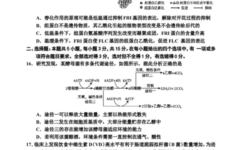 25-6版吉林地区普通中学2024(1)_2025年3月_250331吉林省吉林市2024-2025学年高三下学期3月三模（全科）_吉林省吉林市2024-2025学年高三下学期3月三模试题生物Word版含答案