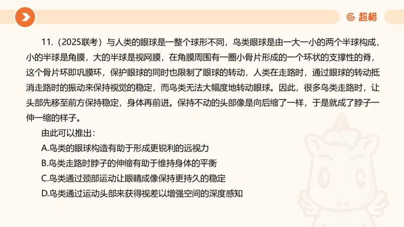 逻辑判断-小题型_2026考公资料_超格合集_公考-理论班2026超格行测申论（六合一）理论实战班_判断推理理论实战班程意&义恒_课件